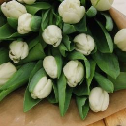 Ziedu piegāde uz  pilsētu. Atskaite Nr. 54