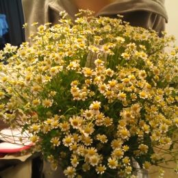 Ziedu piegāde uz  pilsētu. Atskaite Nr. 104