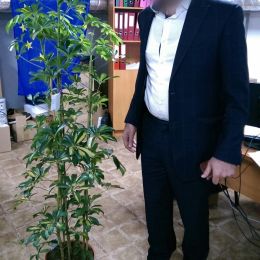 Ziedu piegāde uz  pilsētu. Atskaite Nr. 352