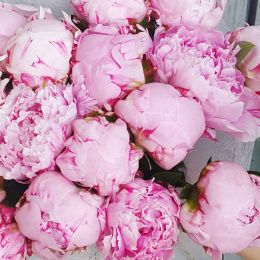 Ziedu piegāde uz  pilsētu. Atskaite Nr. 365