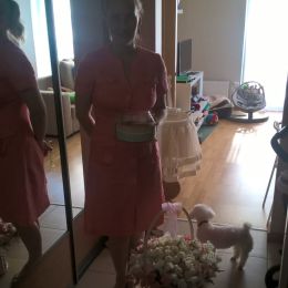 Ziedu piegāde uz  pilsētu. Atskaite Nr. 383