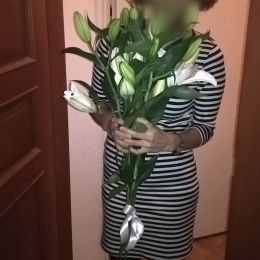 Ziedu piegāde uz  pilsētu. Atskaite Nr. 568