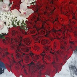 Ziedu piegāde uz  pilsētu. Atskaite Nr. 572