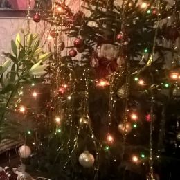 Ziedu piegāde uz  pilsētu. Atskaite Nr. 748