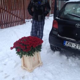 Ziedu piegāde uz  pilsētu. Atskaite Nr. 1202