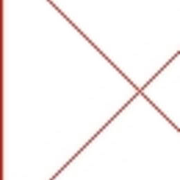 Ziedu piegāde uz  pilsētu. Atskaite Nr. 1251