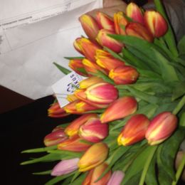 Ziedu piegāde uz  pilsētu. Atskaite Nr. 1277