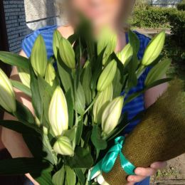 Ziedu piegāde uz  pilsētu. Atskaite Nr. 1525