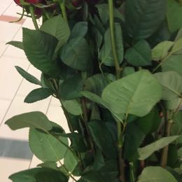 Ziedu piegāde uz  pilsētu. Atskaite Nr. 1650