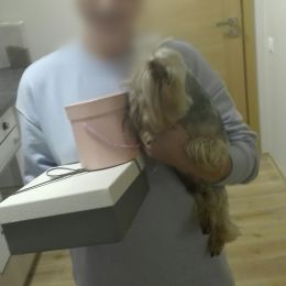 Ziedu piegāde uz  pilsētu. Atskaite Nr. 1761