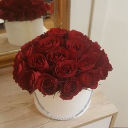 Ziedu piegāde uz  pilsētu. Atskaite Nr. 1831