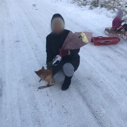 Ziedu piegāde uz  pilsētu. Atskaite Nr. 1970