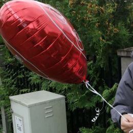 Ziedu piegāde uz Lapenieki pilsētu. Atskaite Nr. 2657