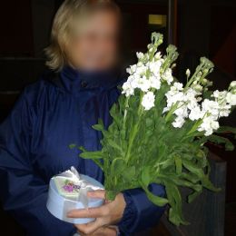 Ziedu piegāde uz Rīga pilsētu. Atskaite Nr. 2749