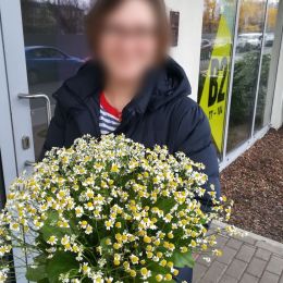 Ziedu piegāde uz Rīga pilsētu. Atskaite Nr. 2752