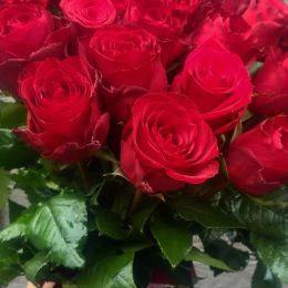 Ziedu piegāde uz Talsi pilsētu. Atskaite Nr. 2791