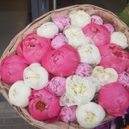 Ziedu piegāde uz Rīga pilsētu. Atskaite Nr. 3408