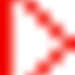 Ziedu piegāde uz Engure pilsētu. Atskaite Nr. 3453