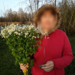 Ziedu piegāde uz Rīga pilsētu. Atskaite Nr. 3658