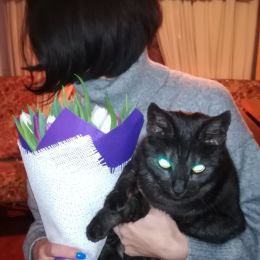 Ziedu piegāde uz Jūrmala pilsētu. Atskaite Nr. 3762