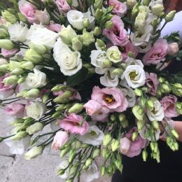 Ziedu piegāde uz Rīga pilsētu. Atskaite Nr. 3963