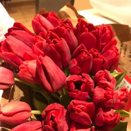 Ziedu piegāde uz Baloži pilsētu. Atskaite Nr. 3971