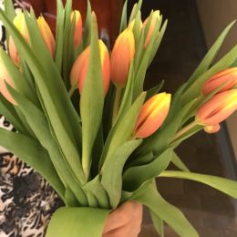 Ziedu piegāde uz Daugavpils pilsētu. Atskaite Nr. 4023