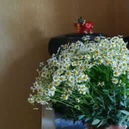 Ziedu piegāde uz Rīga pilsētu. Atskaite Nr. 4351