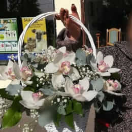 Ziedu piegāde uz Rīga pilsētu. Atskaite Nr. 4601