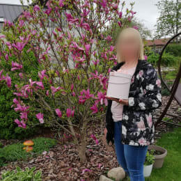 Ziedu piegāde uz Bauska pilsētu. Atskaite Nr. 5610