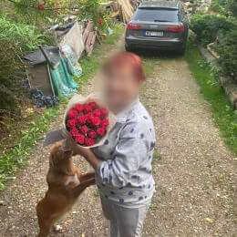 Ziedu piegāde uz Ikšķile pilsētu. Atskaite Nr. 5936