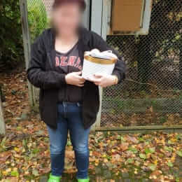 Ziedu piegāde uz Rīga pilsētu. Atskaite Nr. 6012