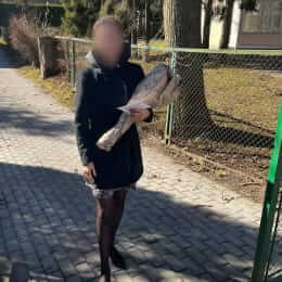 Ziedu piegāde uz Jūrmala pilsētu. Atskaite Nr. 6223