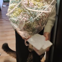 Ziedu piegāde uz Rīga pilsētu. Atskaite Nr. 6697