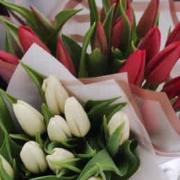 Ziedu piegāde uz Rīga pilsētu. Atskaite Nr. 6719