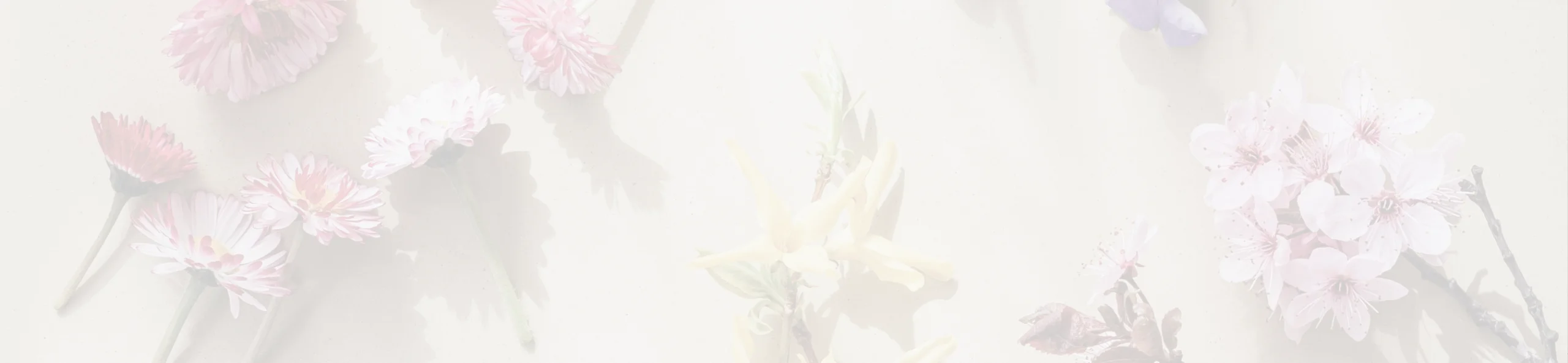 Hero banner 2