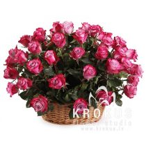 Divkrāsu rozes grozā