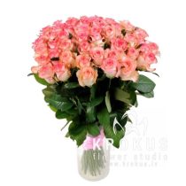 Divkrāsu rozes 50cm