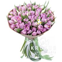 Peonveidīgas tulpes un frēzijas