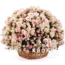 Krūmrožu grozs ''Luxury''