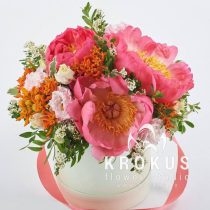 Coral peonies in a box