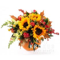 Kомпозиция в тыкве - Осеннее солнце