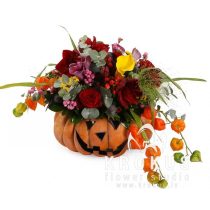 Kомпозиция в тыкве - Подружка Джека