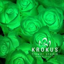 Roze kas spīd nakts tumsā