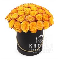 Yellow roses in a black hat box
