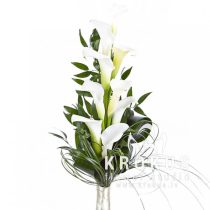 Bouquet of calla "Frozen"