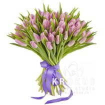 51 lavandas krāsas tulpes