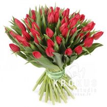 Sarkano tulpju pušķis