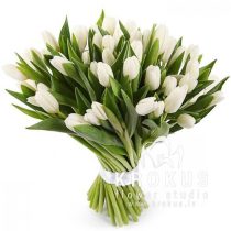 Balto tulpju pušķis