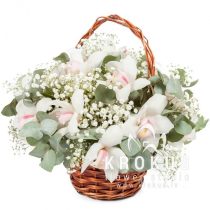 Baltas orhidejas grozā